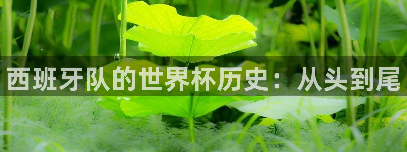2026世界杯直播免费观看:西班牙队的世界杯历史:从头到尾