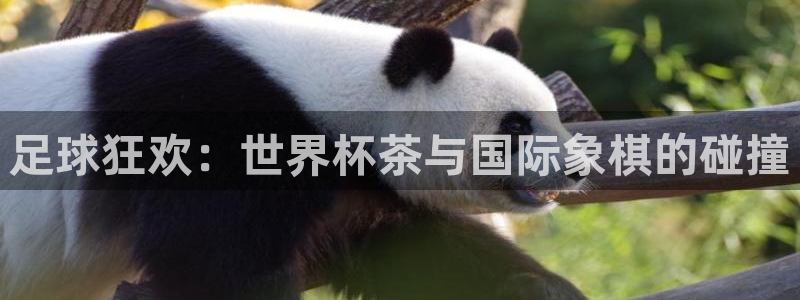 2026世界杯赛程时间表最新:足球狂欢:世界杯茶与国际象棋的碰撞