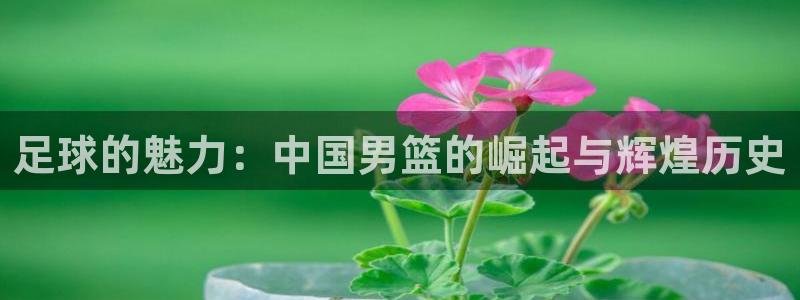 世界杯直播免费观看:足球的魅力:中国男篮的崛起与辉煌历史