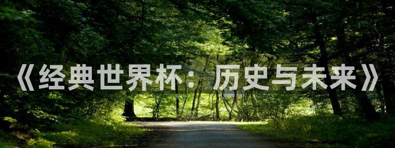 世界杯足球赛2026:《经典世界杯:历史与未来》