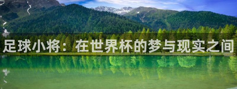 世界杯 2026:足球小将:在世界杯的梦与现实之间