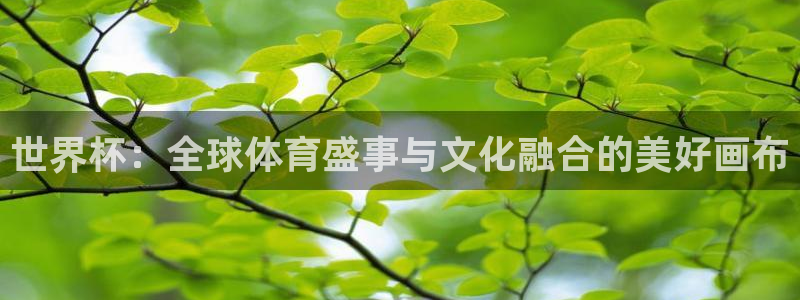 今年的世界杯:世界杯:全球体育盛事与文化融合的美好画布