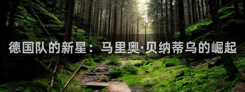 世界杯 直播:德国队的新星:马里奥·贝纳蒂乌的崛起