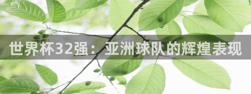 看世界杯:世界杯32强:亚洲球队的辉煌表现