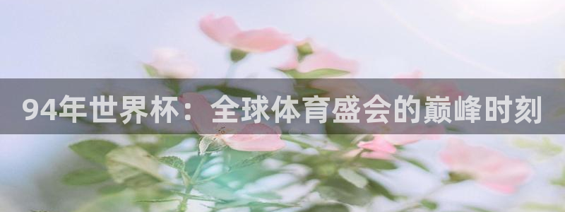 足球世界杯时间:94年世界杯:全球体育盛会的巅峰时刻